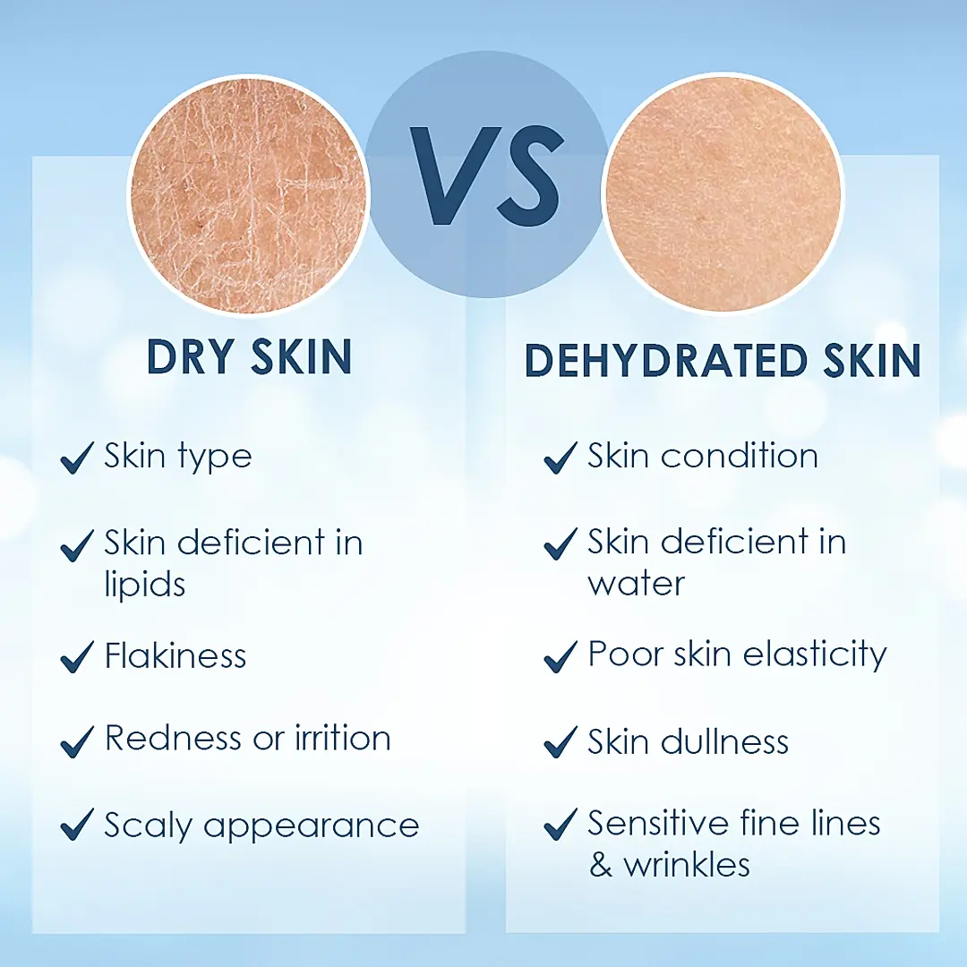 Cetaphil Optimal Hydration Replenishing Night Cream (50g) - Image 3