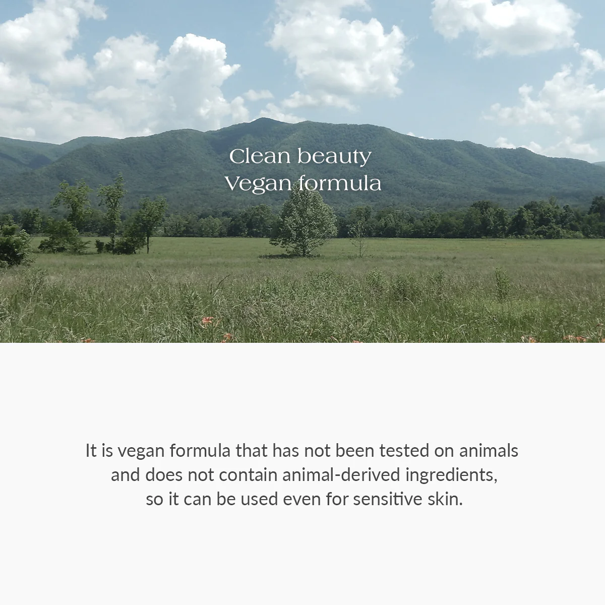 Dr Althea Amino Acid Gentle Bubble Cleanser (140ml) - Image 6