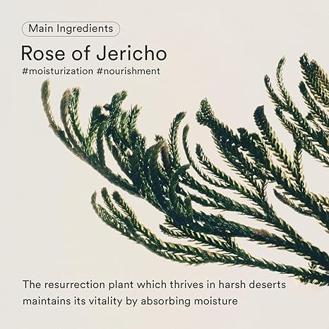 Abib Jericho Rose Bifida Serum-(50ml) - Image 6